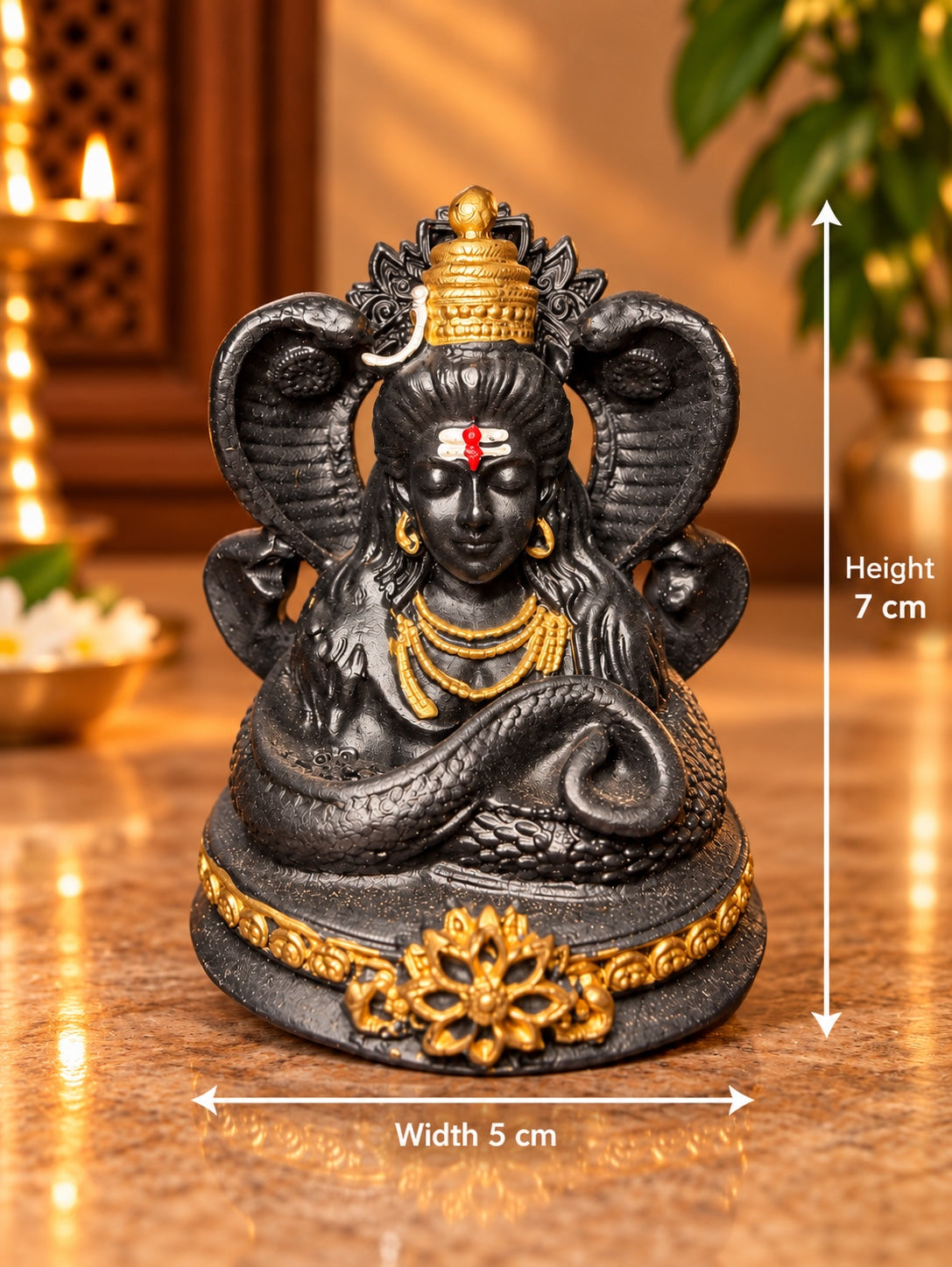 Naga Bhushana Shiva dimensions