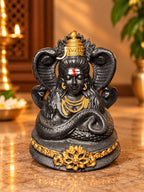 Naga Bhushana Shiva front view