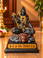 Rudra Pashupati measurement view
